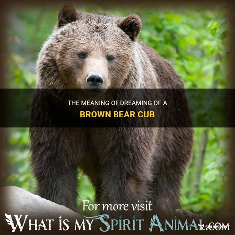The Significance of a Brown Bear Cub in Dreams