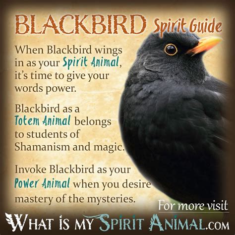 The Significance of a Dark Winged Bird Fantasized