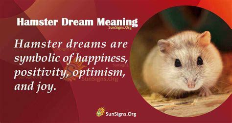 The Significance of a Hamster in Your Dream: Understanding Symbolism