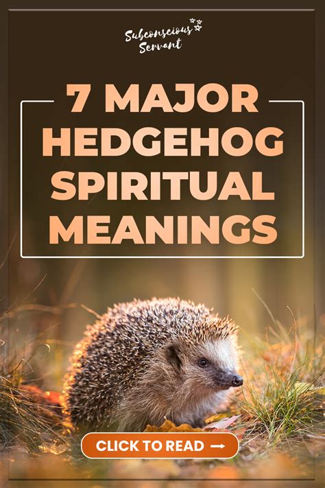 The Significance of a Hedgehog in a Young Woman's Subconscious