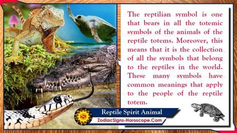 The Significance of a Lifeless Reptile in a Vision