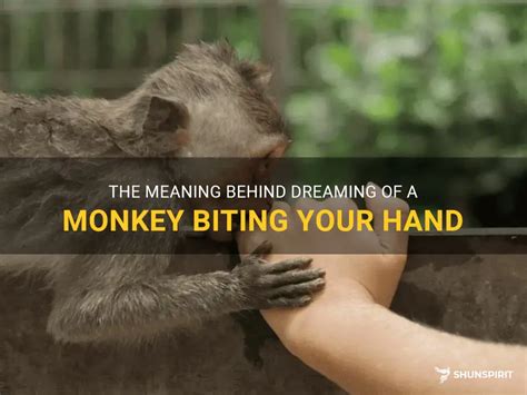 The Significance of a Monkey Biting in Dreams