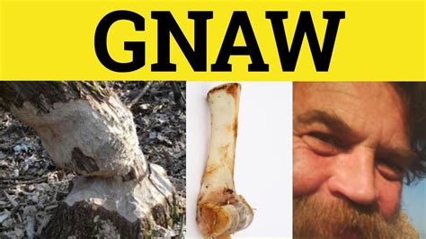 The Significance of a Primate Gnawing on your Digit Explained