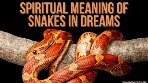 The Significance of a Small Serpent in the Realm of Dreams