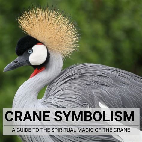 The Significance of the Crane in Various Interpretation Traditions