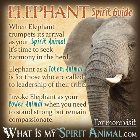 The Significance of the Elephant's Power and Might