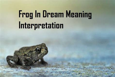 The Significance of the Frog's Action in Relation to Dream Interpretation