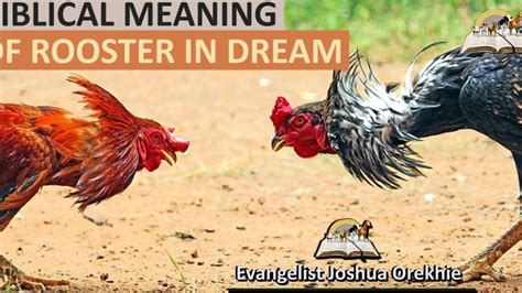 The Significance of the Rooster in Dreams