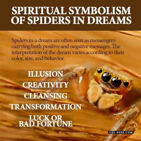 The Spider as a Symbol of Creativity and Transformation in Dream Analysis