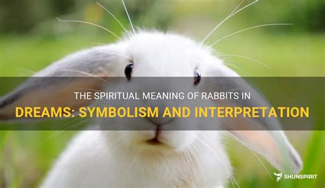 The Spiritual Connection of a Rabbit in the Home: Dream Analysis