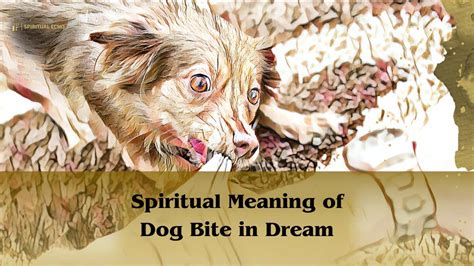 The Spiritual Significance of Canine Hemoglobin in Dreams