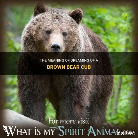 The Spiritual Significance of Dreaming about a Brown Bear with a Cub