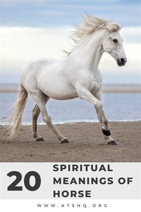 The Spiritual Significance of Encountering a Pure Equine Being in the Realm of Dreams