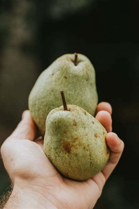 The Spiritual Significance of Pears in a Female Dream