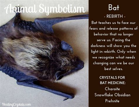 The Spiritual and Metaphysical Significance of Bats