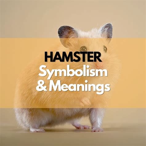 The Symbolic Interpretation of the Hamster's Role in Our Lives