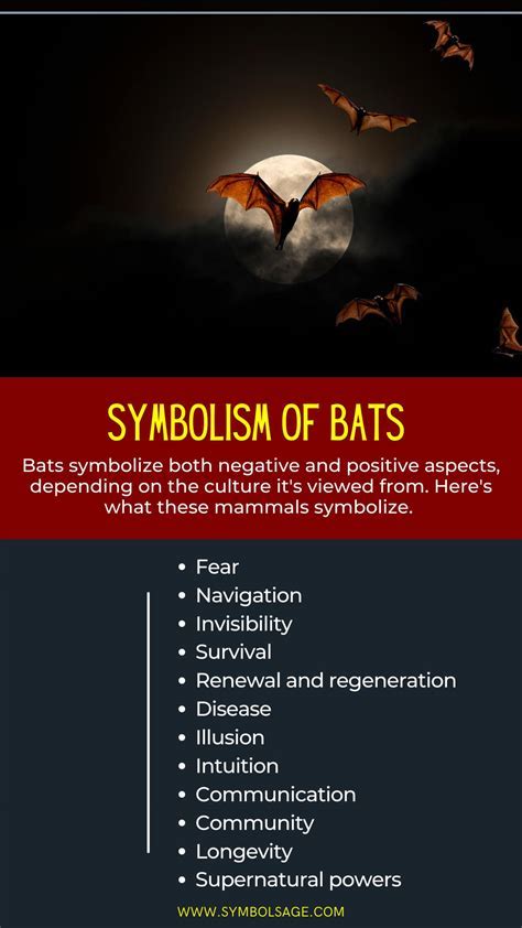 The Symbolic Meaning: Decoding the Enigmatic Bat Encounter