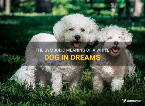 The Symbolic Meaning Behind Dogs in Dreams