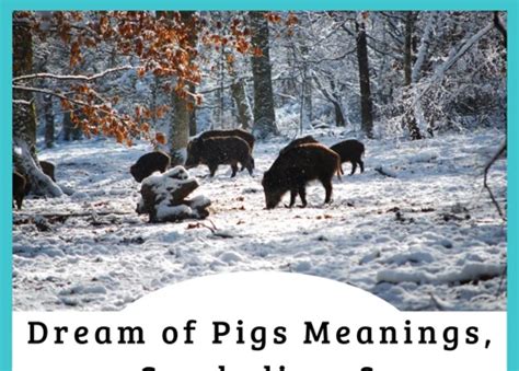 The Symbolic Meaning Behind Wild Boars and Wild Pigs in Dreams