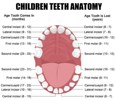 The Symbolic Meaning Behind a Child's Vision of a Missing Incisor