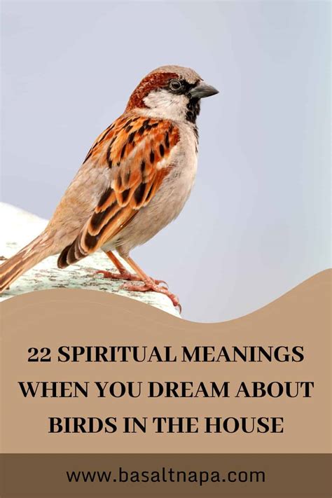 The Symbolic Meaning of Birds in Dreams