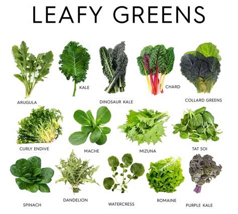 The Symbolic Meaning of Crisp Leafy Greens