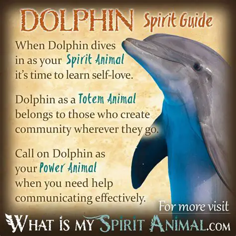 The Symbolic Meaning of Dolphins
