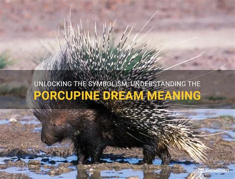 The Symbolic Meaning of Dreaming About a Porcupine