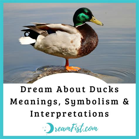 The Symbolic Meaning of Ducks in Dreams