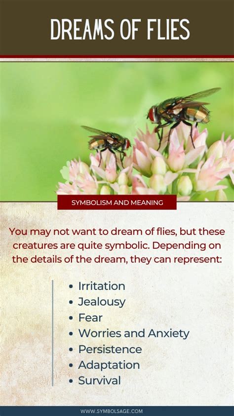 The Symbolic Meaning of Flies in Dreams: Decoding the Message