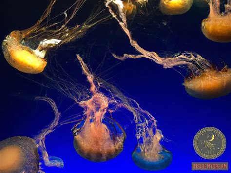 The Symbolic Meaning of Jellyfish Sightings in Dreams Involving Bodies of Water and Female Individuals