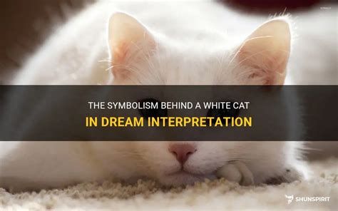 The Symbolic Meaning of Kittens in Dream Analysis