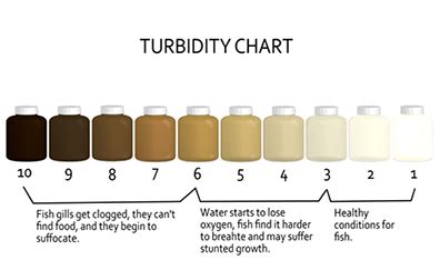 The Symbolic Meaning of Turbid Waters in a Vision