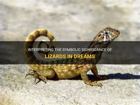 The Symbolic Meaning of a Black Lizard in Dreams