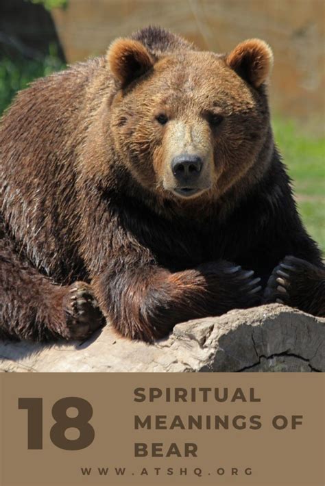 The Symbolic Meaning of a Brown Bear