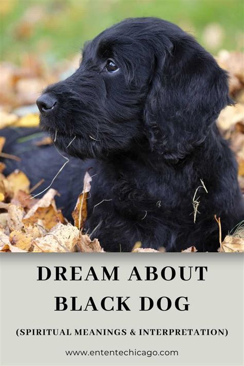 The Symbolic Meaning of a Large Ebony Canine in the World of Dreams 