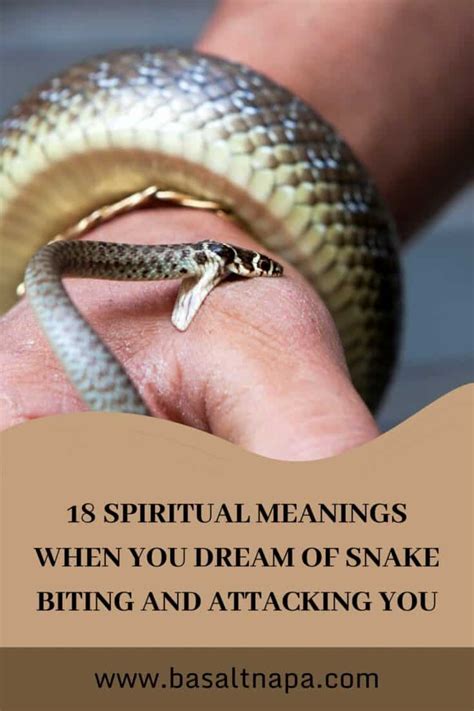 The Symbolic Meaning of a Massive Serpent Attacking in Your Vision