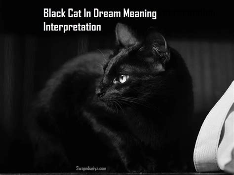 The Symbolic Meaning of a Mysterious Ebony Feline in the Realm of Dreams