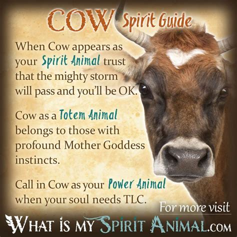 The Symbolic Meaning of a Young Bovine in Women's Dreams