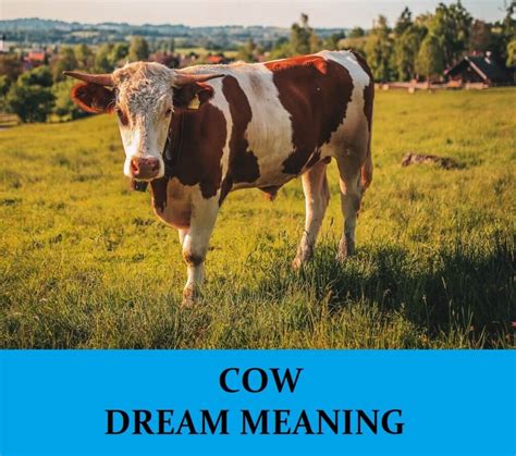 The Symbolic Meaning of a Young Cow in a Dream