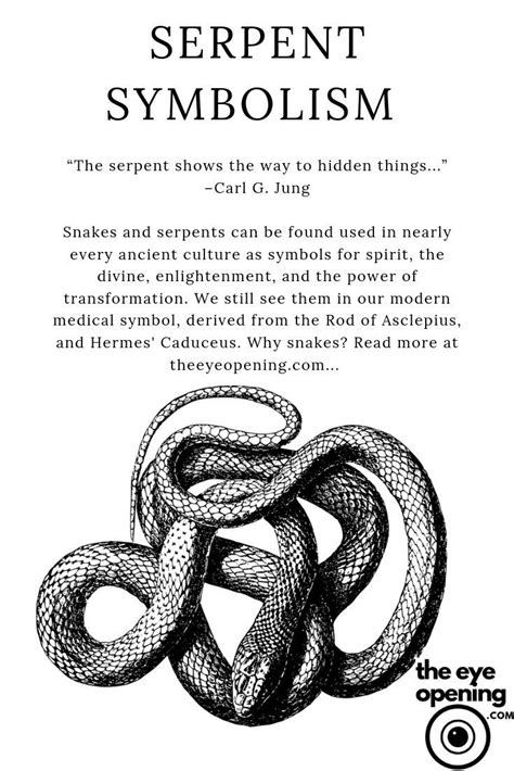 The Symbolic Meaning of an Emerald Serpent in Deciphering Night Visions