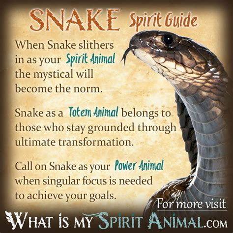 The Symbolic Meaning of the Python