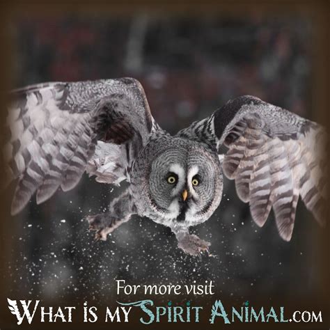 The Symbolic Meanings and Significance of Owls in Dreams