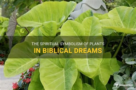 The Symbolic Meanings of a Verdant Bulbous Plant in Dreams