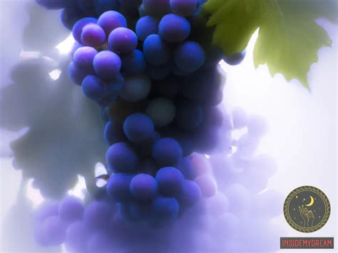 The Symbolic Power of Grape Dreams