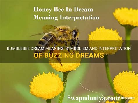 The Symbolic Role of a Bumblebee in Dreams