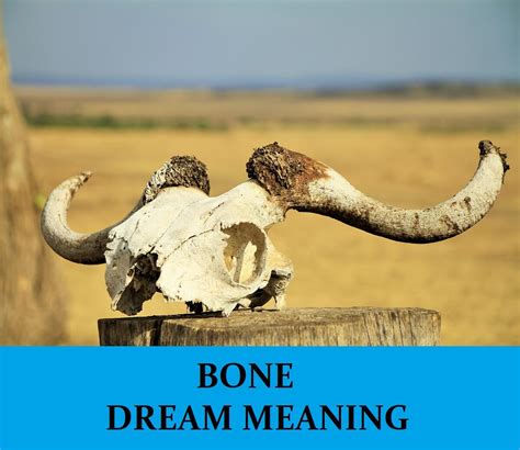 The Symbolic Significance of Bones in Dreams