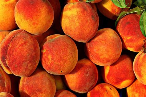 The Symbolic Significance of Dreaming About Indulging in Peaches