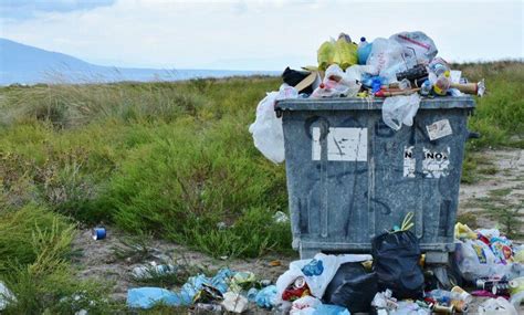 The Symbolic Significance of Dreaming about a Trash Receptacle