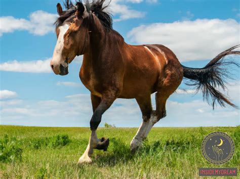 The Symbolic Significance of Dreams about Tiny Equine Companions